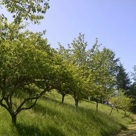 Rustic House In Mountain Surroundings And Views From A Lovely Garden * Campo Tizzoro
